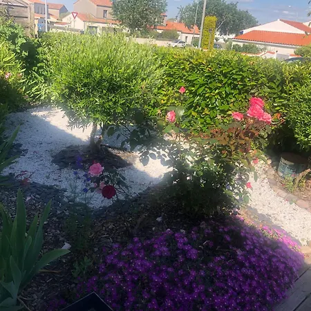 Maison Avec Piscine 3 Etoiles Proche De La *