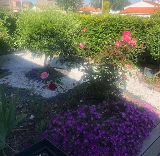 Maison Avec Piscine 3 Etoiles Proche De La Дом отдыха