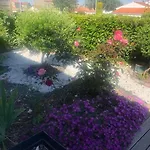 Maison Avec Piscine 3 Etoiles Proche De La 度假居